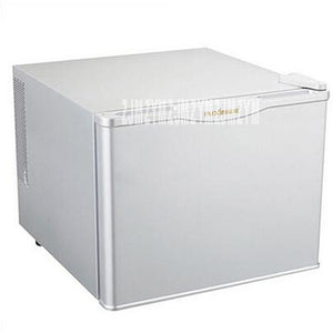 BC-17A 220V/50Hz single-door small refrigerator Refrigerated volume 17L Household Small Refrigeration Mini Refrigerator 60WPower